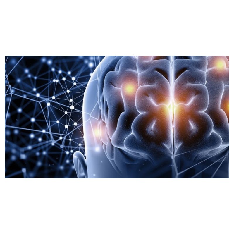 Técnicas de investigación en neurociencia