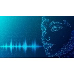 Procesamiento del Lenguaje Natural