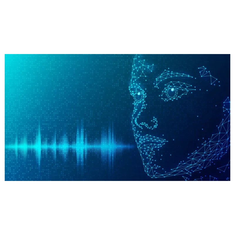 Procesamiento del Lenguaje Natural