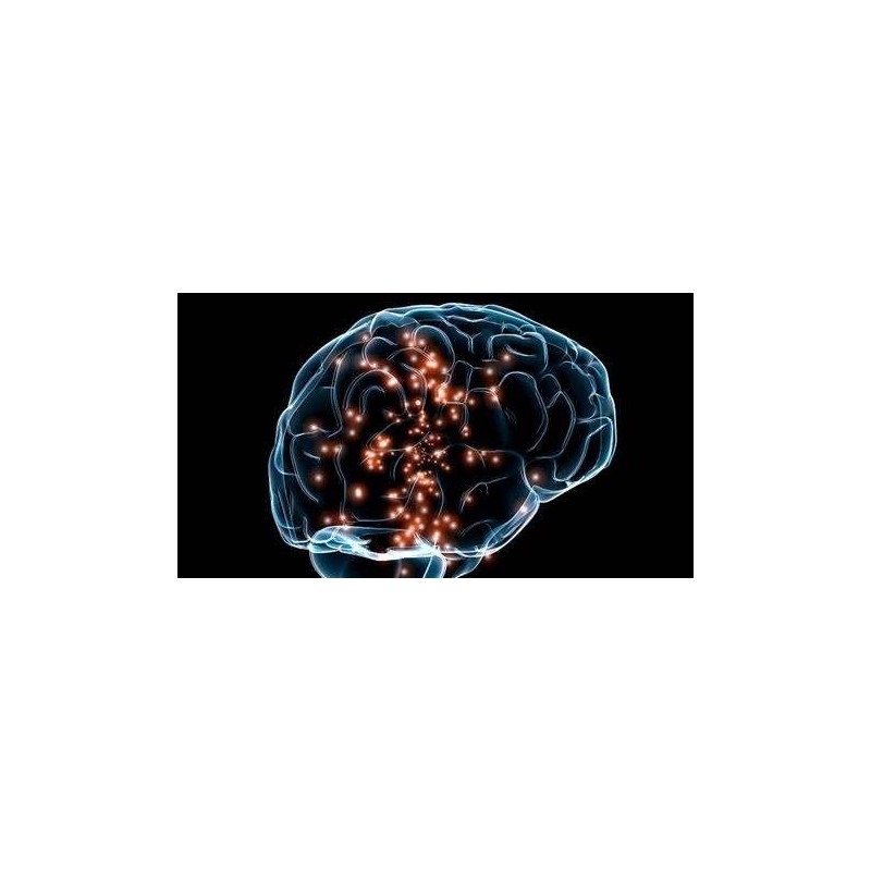 FUNDAMENTOS DE NEUROCIENCIA