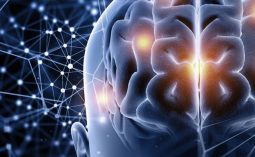 Máster en Comunicación Digital: Aspectos Sociales, Éticos y Filosóficos